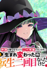 仲間を守って死んだら二十年後の同じ世界に生まれ変わった件……でも俺、転生二回目なんだけど？ (Raw – Free)